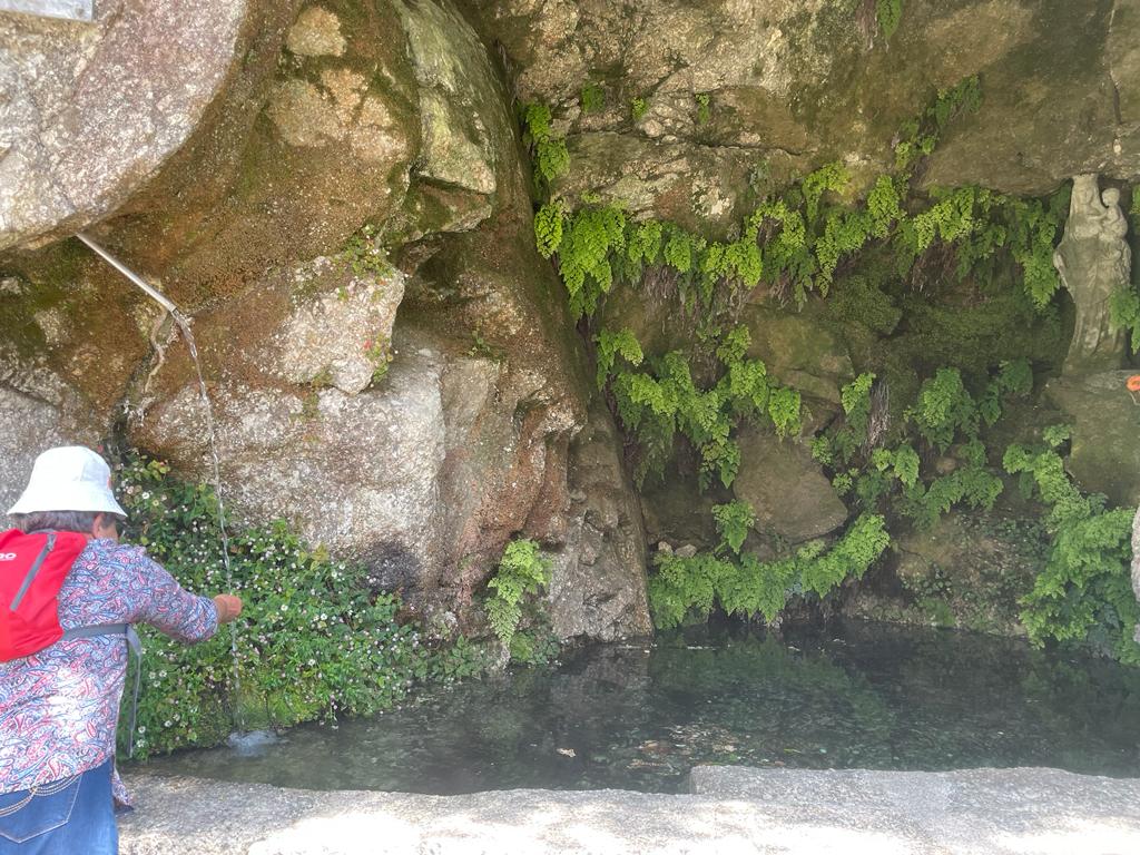 Seniores que integram a atividade “Entre laços…Menos Sós” do Projeto CLDS Cantanhede 4G “Intervir, Integrar e Incluir” participaram num passeio convívio ao Gerês e a Braga
