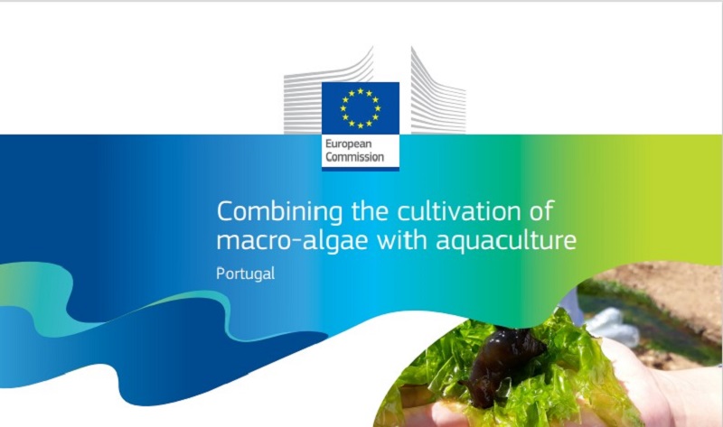 GAL Mondego Mar apoia boas práticas – Projeto ALGADEPUR é exemplo internacional