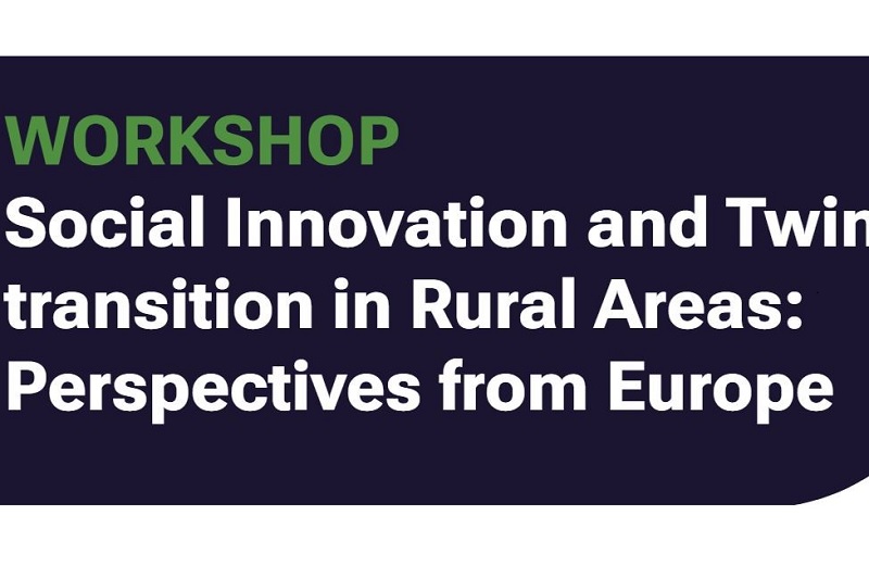 Workshop Internacional: “Inovação Social e a Dupla Transição nas Áreas Rurais: Perspetivas da Europa”