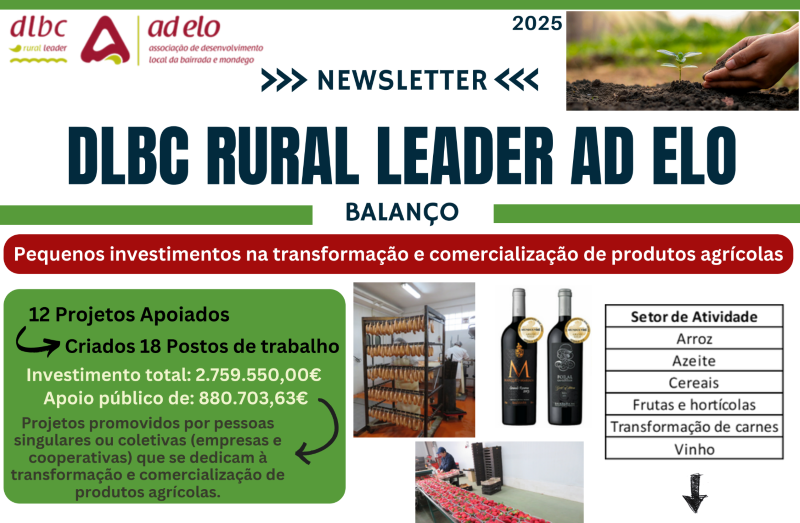 DLBC/Rural LEADER AD ELO – Balanço – Newsletters