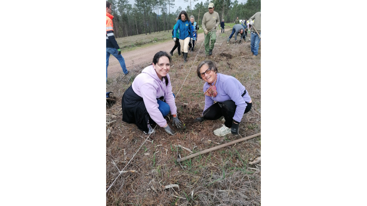 CLDS 5G de Penacova assinala Dia da Árvore com ação de sensibilização e reflorestação