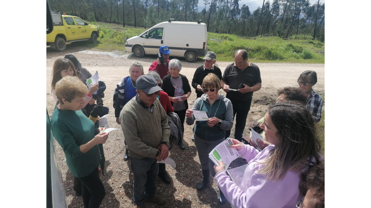 CLDS 5G de Penacova assinala Dia da Árvore com ação de sensibilização e reflorestação
