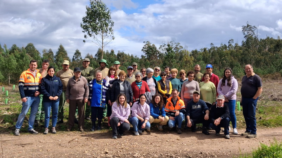 CLDS 5G de Penacova assinala Dia da Árvore com ação de sensibilização e reflorestação