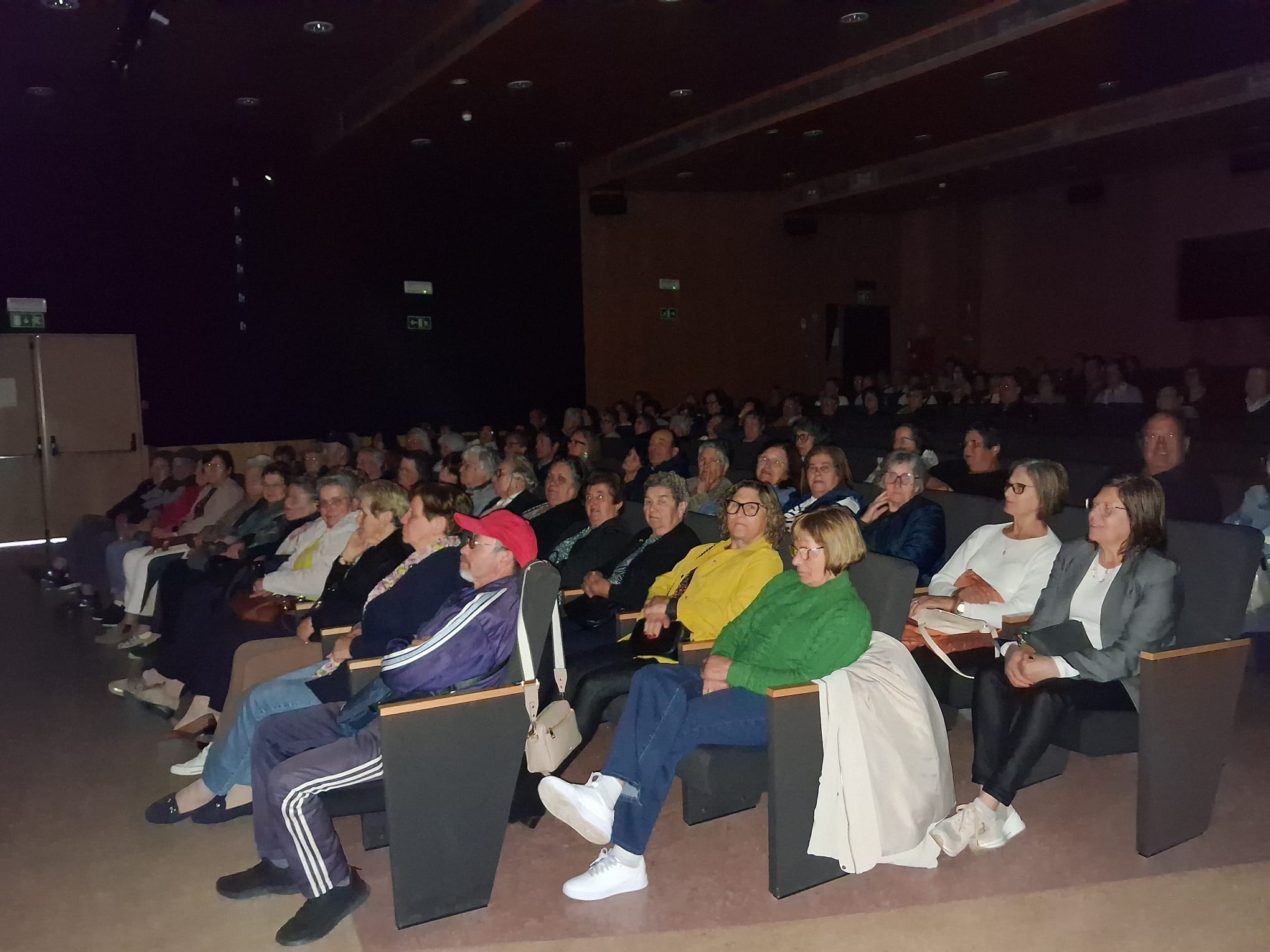 Uma tarde de cultura e partilha: CLDS 5G de Penacova dinamiza sessão de cinema sénior