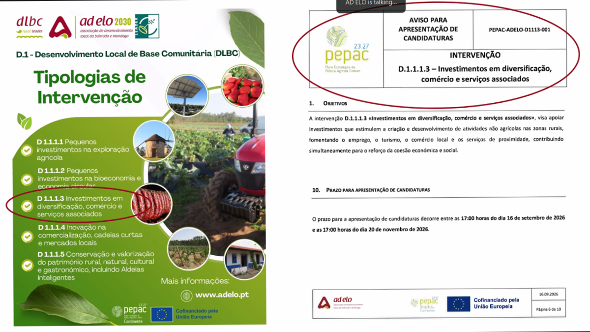A ADELO dinamizou uma sessão de apresentação e de esclarecimentos sobre o 1º aviso de concurso da medida D.1.1.1.3 - Investimentos em diversificação, comércio e serviços associados