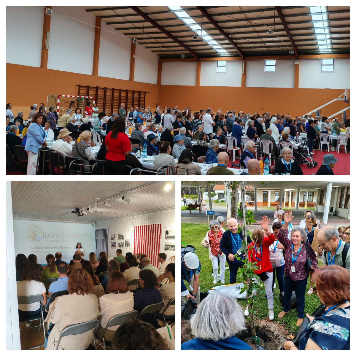 Mira assinala o dia internacional da pessoa idosa com reflexão, convívio e participação comunitária